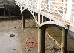 Phát hiện vật thể lạ gây ám ảnh ở sông Thames