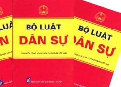 Sang Nhật Bản học tập kinh nghiệm xây dựng Bộ luật Dân sự