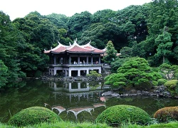 Shinjuku Gyoen - công viên tuyệt đẹp ở Tokyo