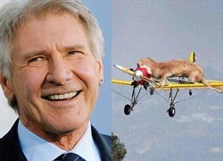 Siêu sao Harrison Ford được fans động viên bằng hình ảnh thú vị