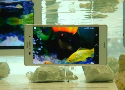 Smartphone chống nước giá mềm Sony Xperia M4 Aqua