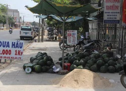 Tiểu thương thuê xe ôm đổ bỏ dưa hấu "khủng"