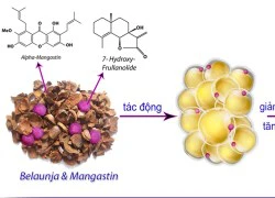 Tránh thuốc "siêu tốc" để giảm cân an toàn hiệu quả