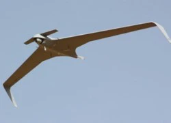 Việt Nam muốn mua thêm UAV Orbiter 2 từ Israel