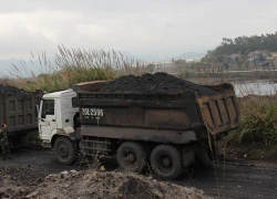 Vụ bắt đoàn xe chở than lậu: Đình chỉ công tác PGĐ Cty than Hòn Gai