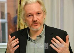 WikiLeaks tố Mỹ cố gây hiềm khích giữa Nga và Ukraine