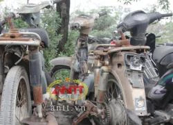 Xe Vespa, SH, PS trăm triệu vi phạm phơi nắng, mục ruỗng