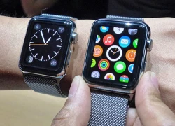 Apple chỉ bán Apple Watch cho khách đặt trực tuyến