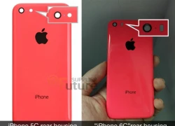 Apple chưa chắc ra mắt iPhone 6C năm nay vì thất bại của 5C