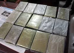 Bắt 2 đối tượng vận chuyển 31 bánh heroin