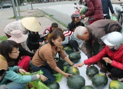 Điểm bán dưa đặc biệt, nơi mọi người gọi nhau bằng... nick