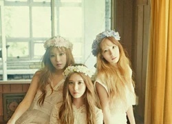 Fan &#8220;đứng ngồi không yên&#8221; khi TaeTiSeo làm khách mời cho &#8220;Producer&#8221;