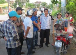 Giả gà Đông Tảo bán cho người dân kiếm lời