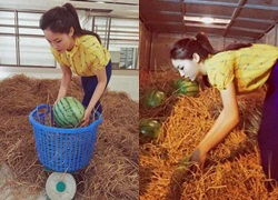 HH Kỳ Duyên bê từng trái dưa để bán ủng hộ đồng bào Quảng Nam