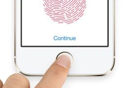 iOS 8.3 bị lỗi khi đăng nhập bằng Touch ID