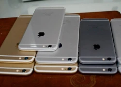 iPhone 6 khoá mạng giá chưa đến 10 triệu đồng