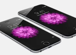 iPhone 6S Plus trang bị công nghệ cảm ứng Force Touch