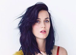 Katy Perry sắp sang Việt Nam