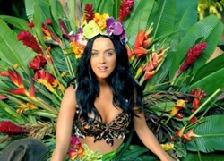 Katy Perry: Thành siêu sao từ những đĩa nhạc nghe lén