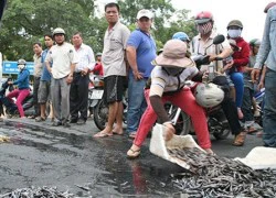 Không để 'chặn quốc lộ' thành tiền lệ