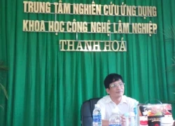 Khu bảo tồn thiên nhiên "chảy máu": Đề án chặt 100 cây lim xanh?