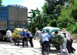 Ngăn chặn 333 người dân sang Trung Quốc làm thuê trái phép