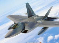 "Người tiền nhiệm" F-22 Raptor tàng hình thế nào?