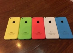 Nguồn gốc iPhone 5C khoá mạng giá 3,5 triệu ở Việt Nam