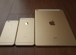 Tại sao Apple liên tục ra iPhone, iPad, MacBook màu vàng?