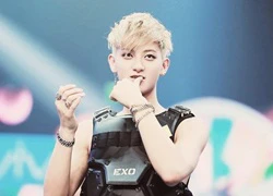 Tao (EXO) dũng cảm lộ diện giữa bão scandal rời nhóm