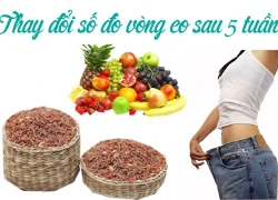 Thay đổi số đo vòng eo sau 5 tuần