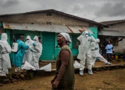 The New York Times đoạt giải Pulitzer nhờ loạt bài về Ebola