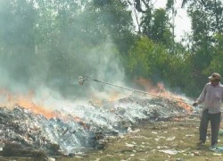 Tiêu hủy gần 170 ngàn gói thuốc lá lậu