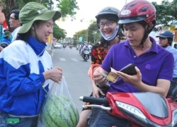 Tỉnh Quảng Ngãi vào cuộc "giải cứu" 81ha dưa đang tồn trên ruộng