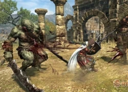 Tổng quan về bốn nhân vật trong Dragon"s Dogma Online