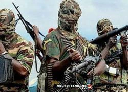 Việt Nam quan ngại về những hành động khủng bố của Boko Haram