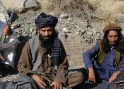 Ả Rập Xê Út bị tố đưa tù nhân al-Qaeda sang tham chiến ở Yemen