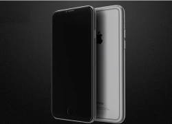 Apple có thể ra mắt iPhone 6S sớm vào tháng 8