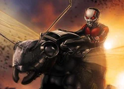 Bí ẩn trong bộ trang phục "Ant-Man" được tiết lộ