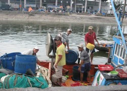 "Bỏ qua" lệnh cấm của Trung Quốc, ngư dân hối hả ra khơi