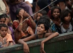 Bọn buôn người lập trại trên biển giam di dân Rohingya