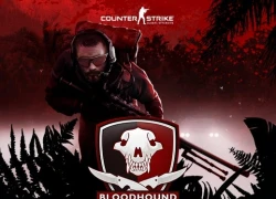 Có gì mới trong bản cập nhật mới của CS:GO?