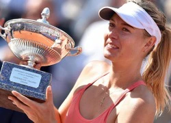 Côn trùng bám chặt vào ngực áo Sharapova