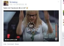 Đã xem được ảnh GIF trên Facebook