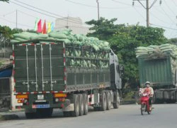 "Đau đầu" với xe quá tải tại cảng biển!