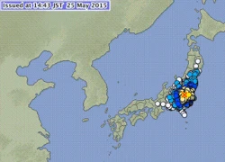 Động đất 5,6 độ richter rung chuyển Tokyo, tàu điện ngầm ngừng hoạt động