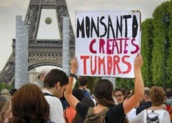 Hàng ngàn người biểu tình phản đối Monsanto và thực phẩm biến đổi gien