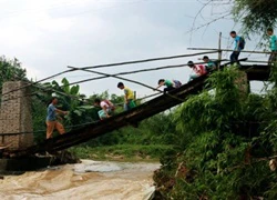 Học sinh tiểu học qua cầu gãy đến trường