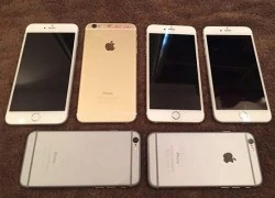 iPhone 6, 6 Plus qua sử dụng ồ ạt về Việt Nam