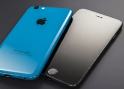 iPhone 6C chưa ra mắt đã gây khó cho điện thoại Trung Quốc